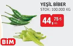 YEŞİL BİBER YEŞİL BİBER